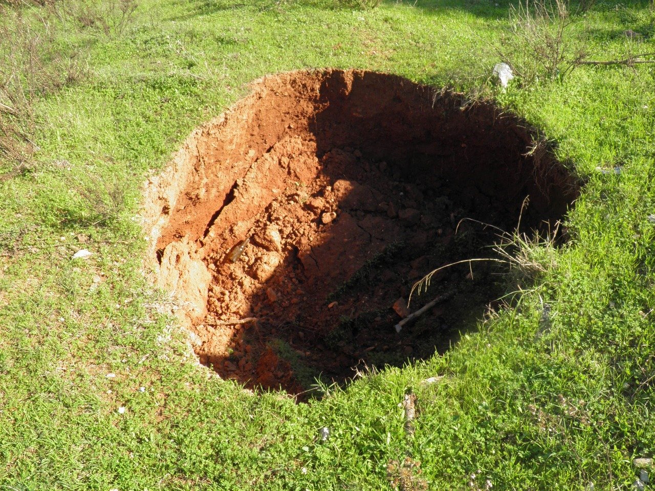 Wallace Risk Solutions/ sinkhole insurance