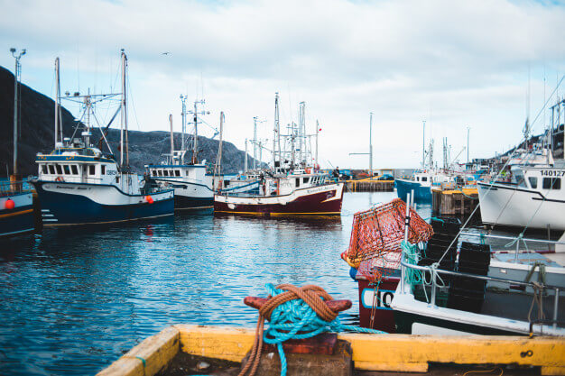 Wallace Risk Solutions/ watercraft insurance
